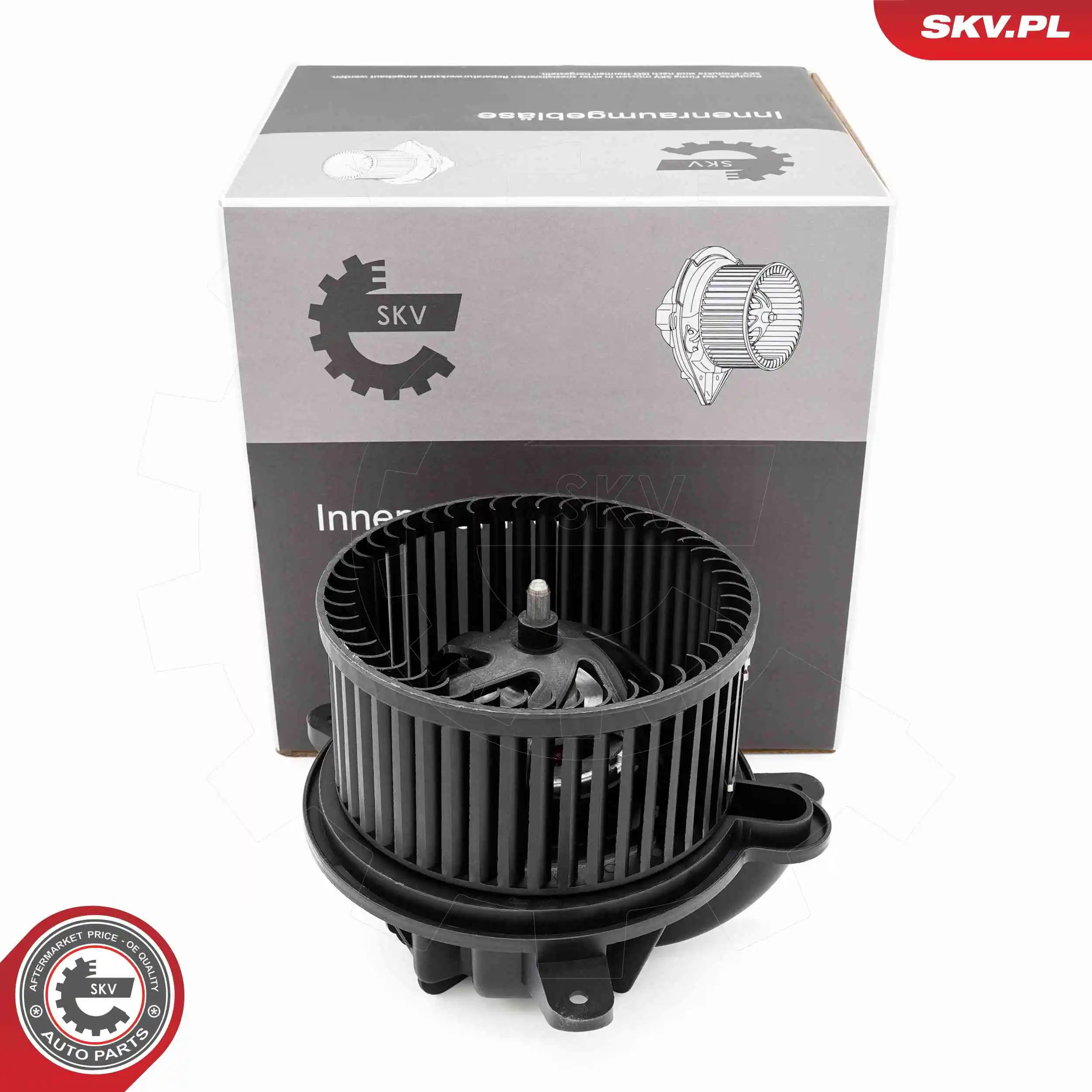 Interior Blower